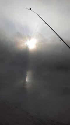 IMAG0205.jpg