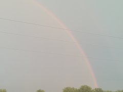 IMG_20180818_193352.jpg