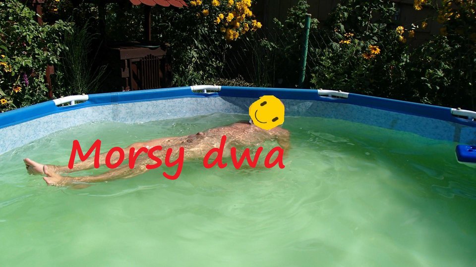4 x uśmiech. - Morsy_dwa