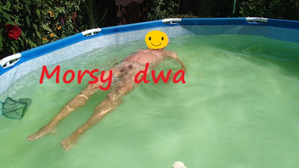 4 x uśmiech. - Morsy_dwa