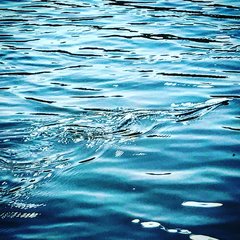 52D3934D-3A0F-40C8-BB91-F851A50D681E.jpeg