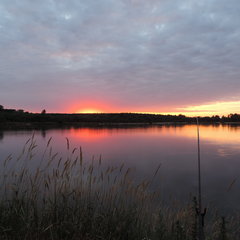 DSCN0223.JPG