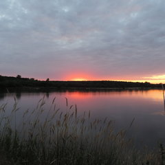 DSCN0225.JPG