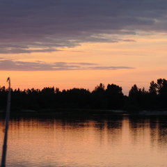 DSCN0233.JPG