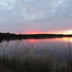 DSCN0230.JPG