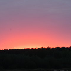 DSCN0228.JPG