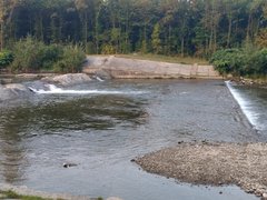 IMG_20180822_061850.jpg