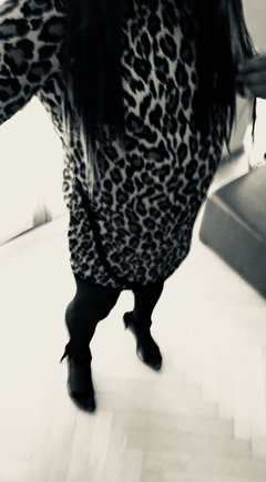 IMG_3381.jpg