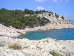 P1010006.JPG