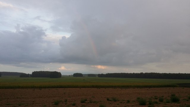 pieszimowy