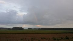 20180815_191026.jpg