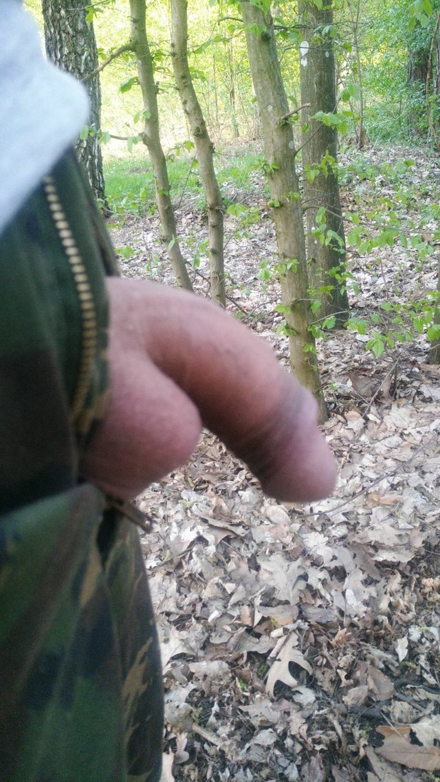 erdperv