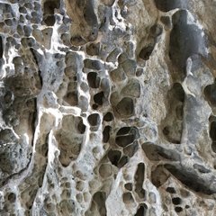 D68DEC55-C115-45D2-B0DD-4126B1D9EAD3.jpeg