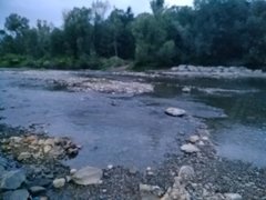 IMG_20180825_052714.jpg