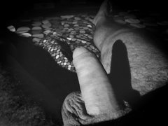 IMG_20170825_232024.jpg