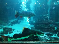 20180818_185310[1].jpg
