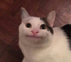 Djjg2WMUUAQ0C1x.jpg