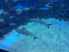 20180630_134756.jpg