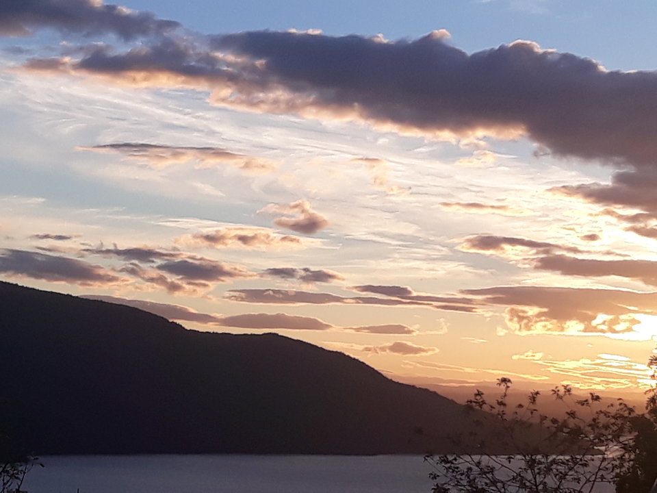 20180817_204651.jpg - aga_jaga