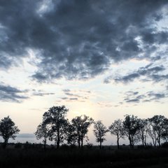 AF413DA2-1F9E-4904-B1F0-80780130708A.jpeg