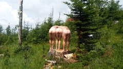 20180602_124227.jpg