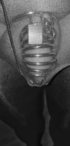 20180824_064028-01.jpeg