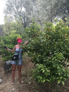 IMG_20180831_204224.jpg