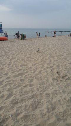 20180801_190329.jpg