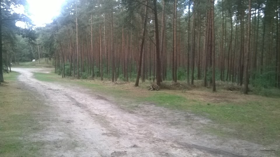 Go-lasek o poranku - koniec sezonu - parkawarmia