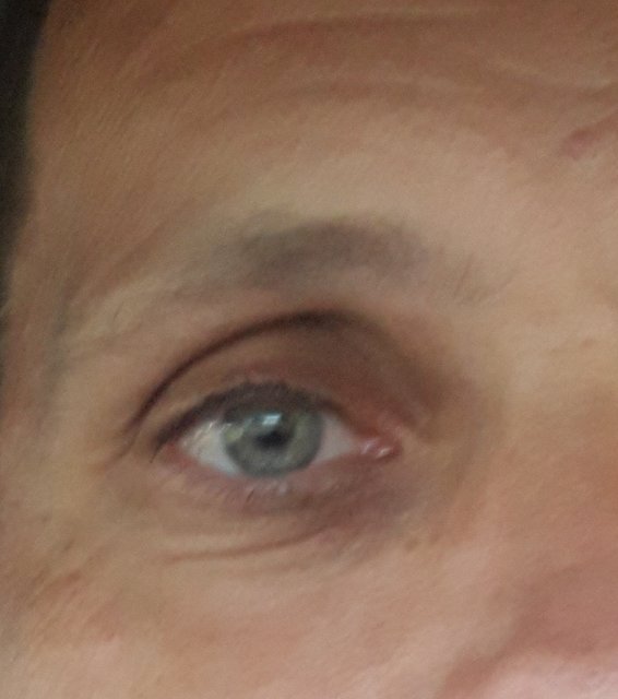 20180905_160859.jpg - Facet197048