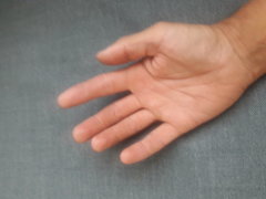 20180905_160314.jpg