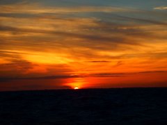 DSCN7276.jpg