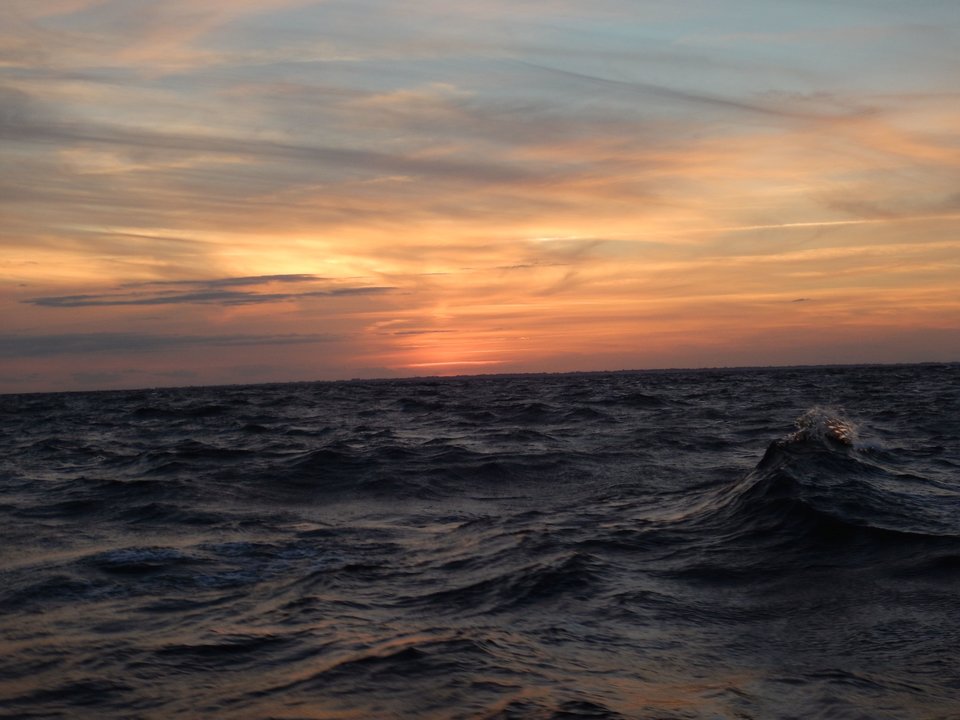 DSCN7287.jpg - Nice71