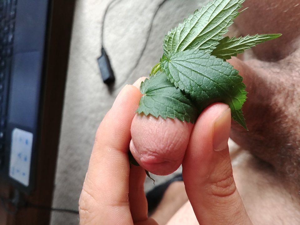 20180908_152813.jpg - malutki8711