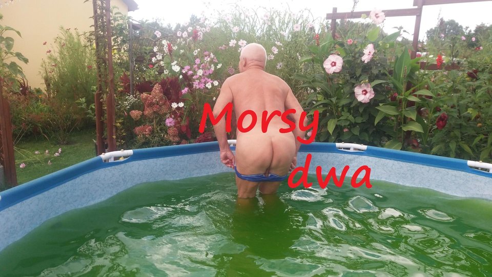 Gdynia - Morsy_dwa