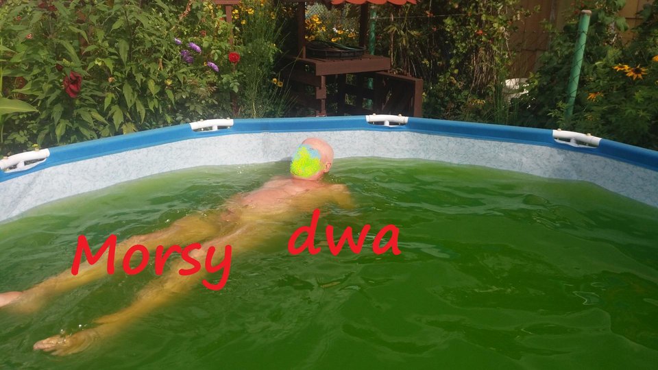 Gdynia - Morsy_dwa