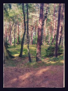 979B774D-7E45-43FC-9AD2-7747622FF620.jpeg