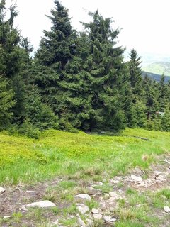 9E4F5360-FCDA-4E26-B158-B50986B7ACEA.jpeg