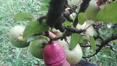 IMG_20180818_160959.jpg