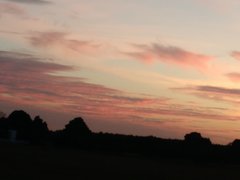 IMG_20180911_193432.jpg