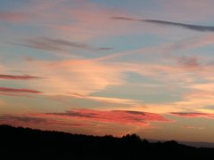 IMG_20180911_193413.jpg