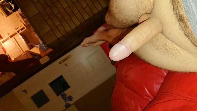 sebix22