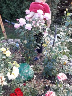 20180913_134301.jpg