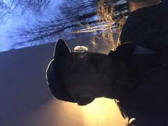 6C14EF04-5B99-43DE-90E3-8A02A52D8BD6.jpeg