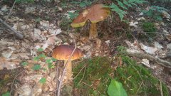 IMG_20180914_101744.jpg