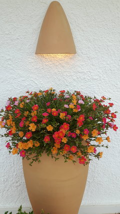 20180914_175228.jpg