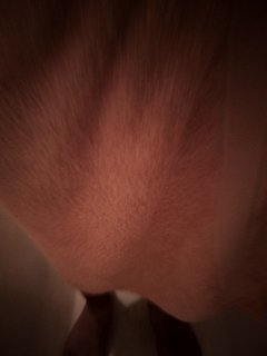 IMG_20180915_201141_HDR.jpg