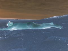 100_7762.JPG