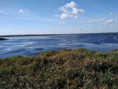 IMG_20180915_105626015.jpg