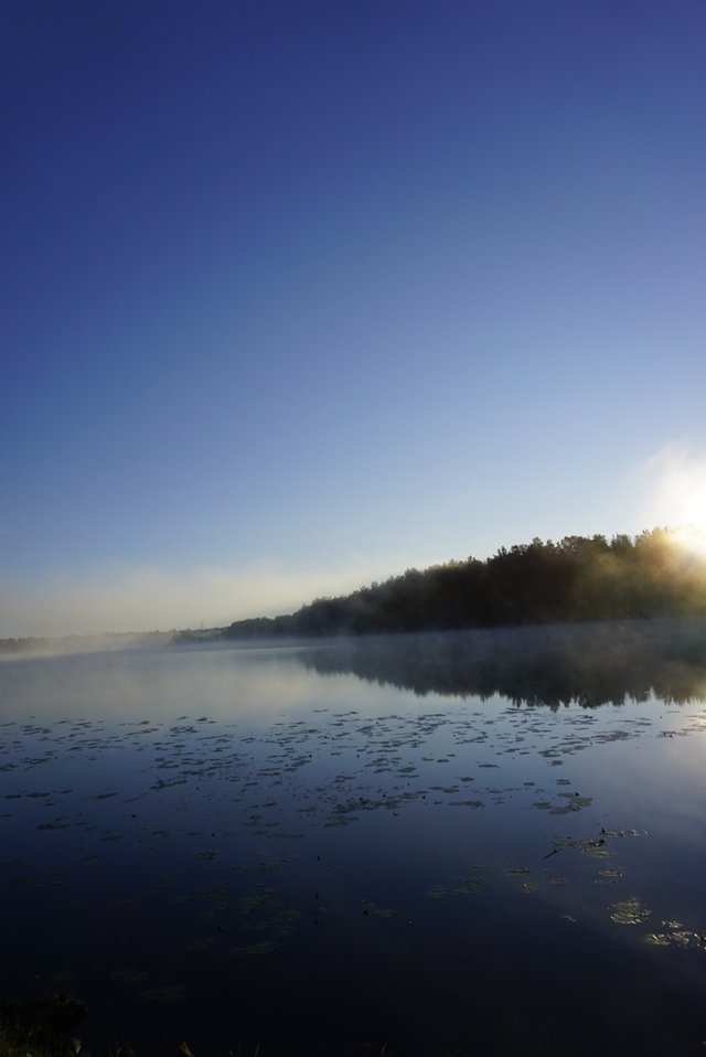 MAK_Demon